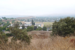 DSCN2997_resize