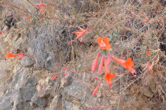 DSCN2999_resize