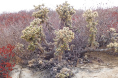 DSCN3001_resize