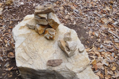 DSCN3006_resize