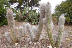 DSCN3010_resize