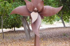 DSCN3011_resize