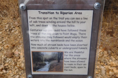 DSCN3016_resize