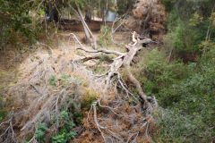 DSCN3017_resize