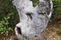 DSCN3018_resize