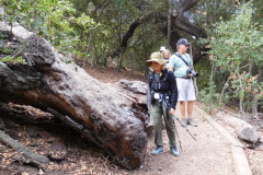 DSCN3020_resize