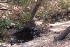 DSCN3031_resize