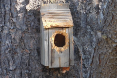 DSCN4649_resize