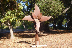 DSCN4655_resize