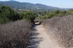 DSCN4665_resize