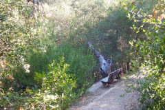 DSCN4672_resize