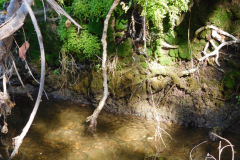 DSCN4674_resize