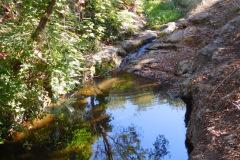 DSCN4676_resize