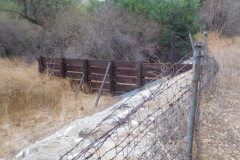 DSCN4977_resize