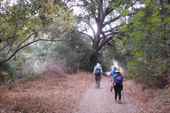 DSCN4978_resize
