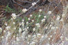 DSCN4982_resize