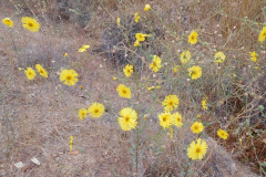 DSCN4988_resize