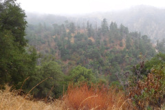 DSCN4997_resize