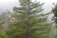 DSCN4998_resize