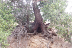 DSCN5000_resize