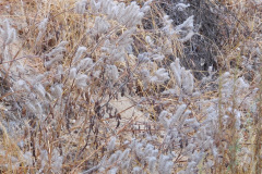 DSCN5005_resize