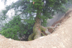 DSCN5008_resize