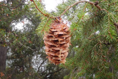 DSCN5017_resize