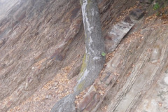 DSCN5020_resize