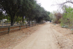 DSCN5031_resize