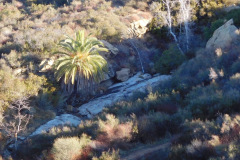 DSCN3469_resize