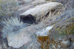 DSCN3473_resize