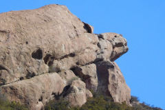 DSCN3489_resize