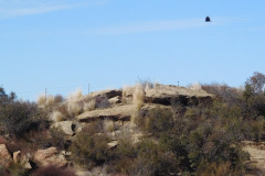 DSCN3497_resize