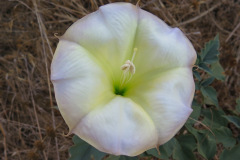 IMG_4030_resize