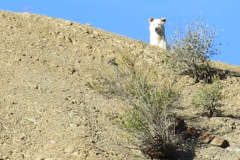 IMG_3548_resize