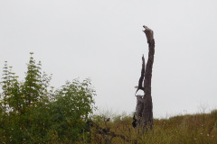 DSCN2476_resize