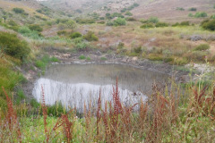 DSCN2478_resize