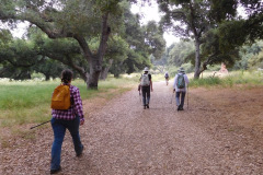 DSCN2487_resize