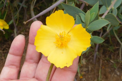 DSCN2492_resize
