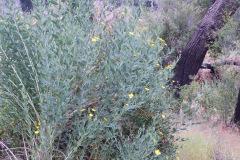 DSCN2494_resize