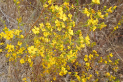 DSCN2500_resize