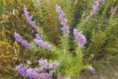 DSCN2502_resize
