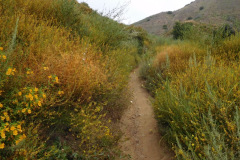 DSCN2506_resize