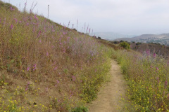 DSCN2508_resize
