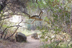 DSCN4523_resize