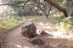 DSCN4524_resize
