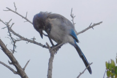 DSCN4531_resize