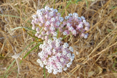 DSCN4533_resize