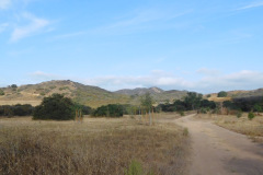 DSCN4534_resize