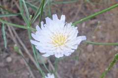 DSCN4541_resize